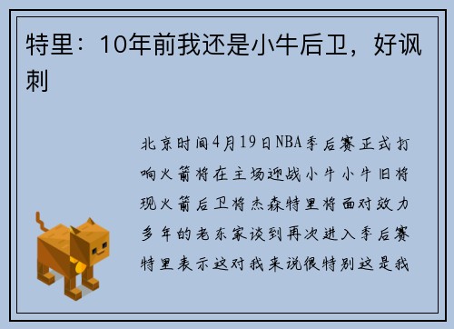 特里：10年前我还是小牛后卫，好讽刺